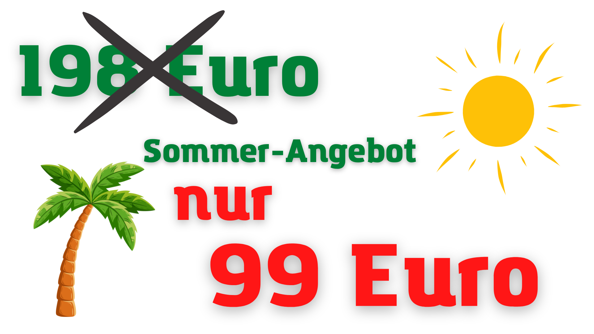 preis videokurs sommer